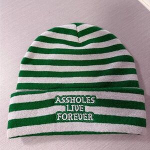 A**holes Live Forever Dark Green Grey Stripes Essential Patch Beanie